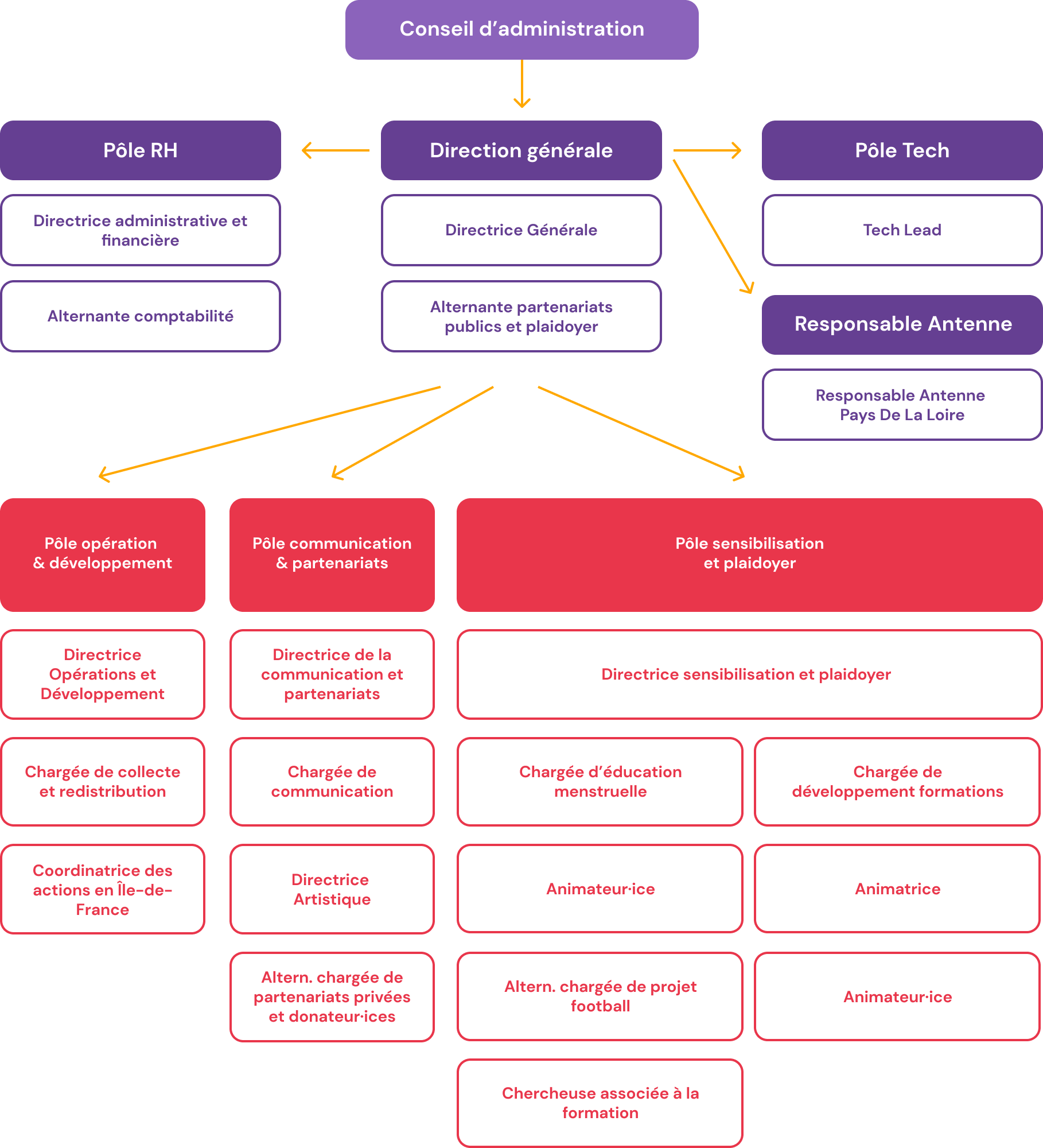 Au sommet, le conseil d'administration, puis directement sous lui, la direction générale composée de 2 postes. 3 pôle sont transverses: le pôle RH avec 2 postes; le pôle tech avec 1 poste; puis 1 poste de responsable d'antenne. Enfin les 3 pôles au coeur de l'association sont: le pôle opération et développement avec 3 postes; le pôle communication et partenariats avec 4 postes; et le pôle sensibilisation et plaidoyer avec 8 postes.