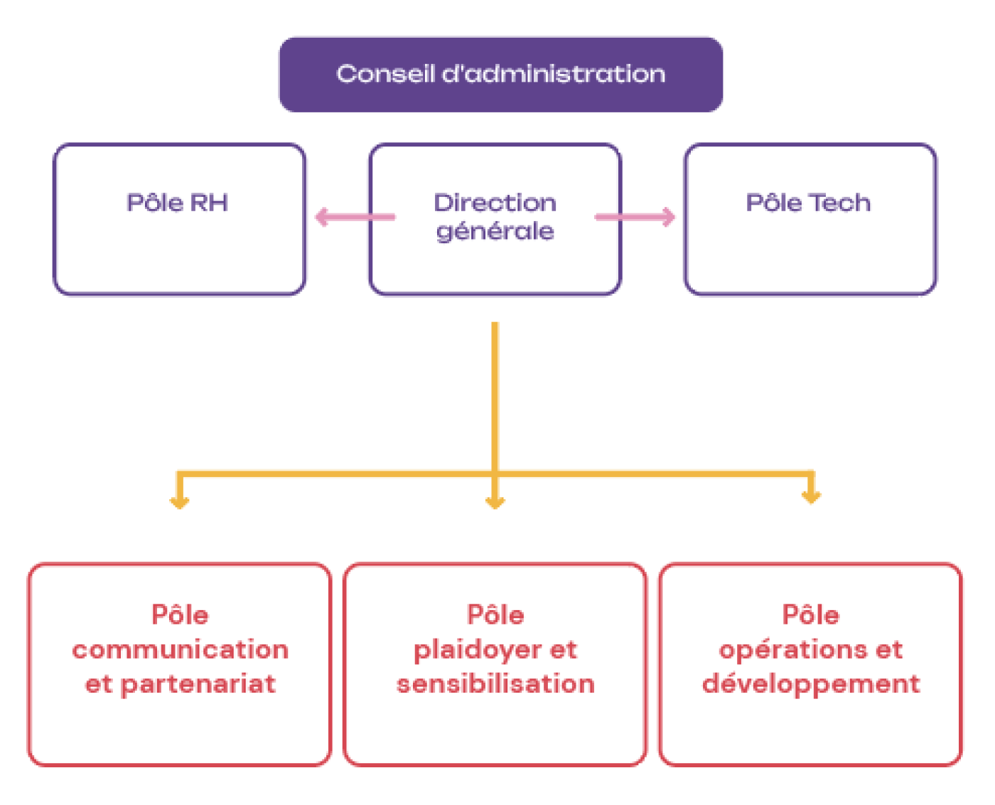 organigramme